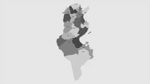 Vector map of Tunisia with names of cities and with borders city Stock Footage 330713105