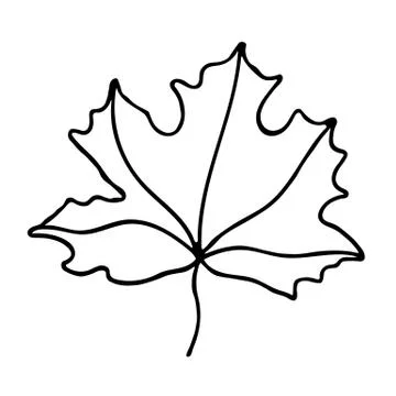 Vector maple leaf icon. Outlined Stock Illustration