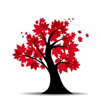 Vector maple tree Stock Illustration