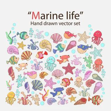 Vector marine life Stock Illustration