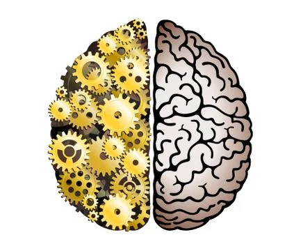 Vector Mechanical Human Brain On White Background. Cerebral Hemispheres. Stock Illustration