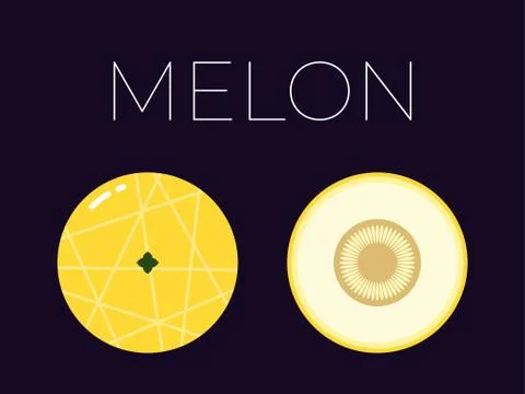 Vector of Melon and sliced half of Melon on dark background Stock Illustration