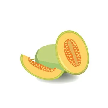 Vector melon isolated in flat style Illustrazione stock