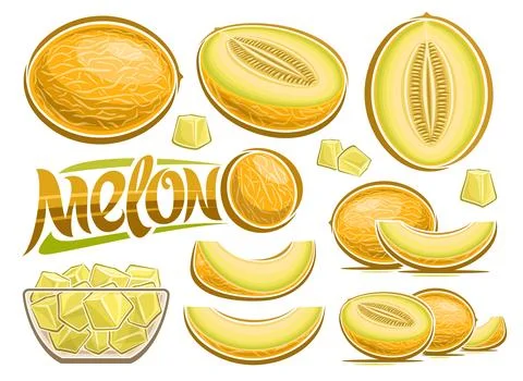 Vector Melon Set Stock Illustration