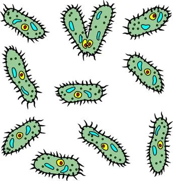 Vector microbes - infusorians on white background イラスト素材