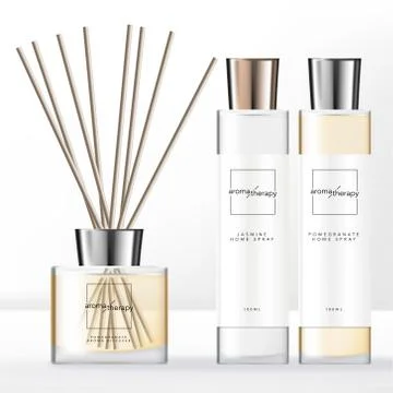 Vector Minimal Style Aroma Diffuser Set with Silver Cap Home Spray Clear Bottle Stock Illustration