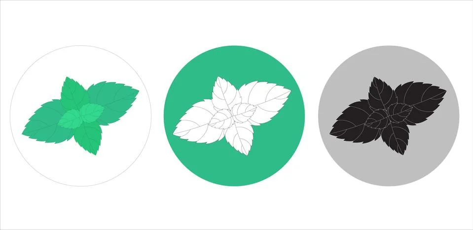 Vector Mint leaf on an isolated background Stock Illustration