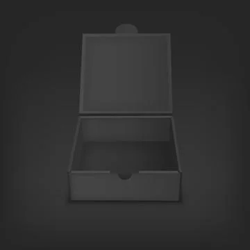 Vector mock up illustration for presentation packaging design Stock-Illustration