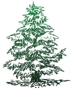 Vector modern christmas green tree Stock Illustration