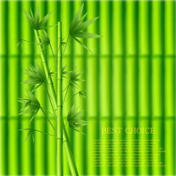 Vector modern green bamboo background. Stock Illustration