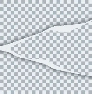 Vector modern ripped torn paper on transparent background Stock Illustration