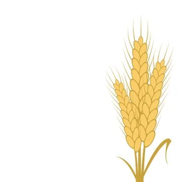 Vector modern wheat background Stock Illustration
