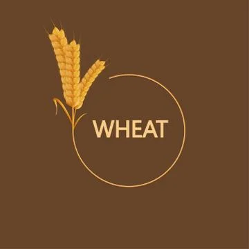 Vector modern wheat background Stock Illustration