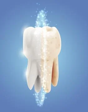 Vector molar tooth. beauty and health. tooth cleaning and personal care Stock Illustration