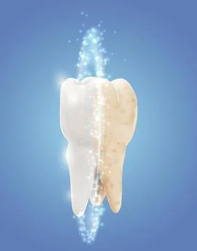 Vector molar tooth. beauty and health. tooth cleaning and personal care Stock Illustration