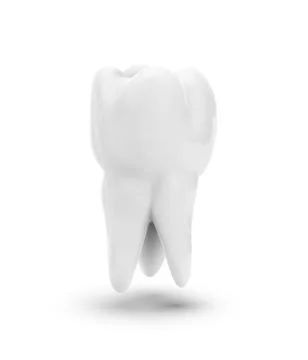 Vector molar tooth. beauty and health. tooth cleaning and personal care Stock Illustration