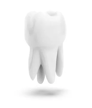 Vector molar tooth. beauty and health. tooth cleaning and personal care Stock Illustration