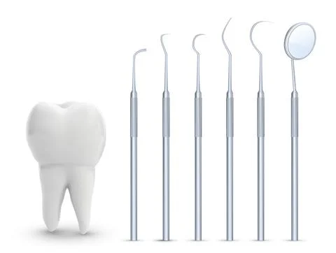 Vector molar tooth. beauty and health. tooth cleaning and personal care,denti Stock Illustration