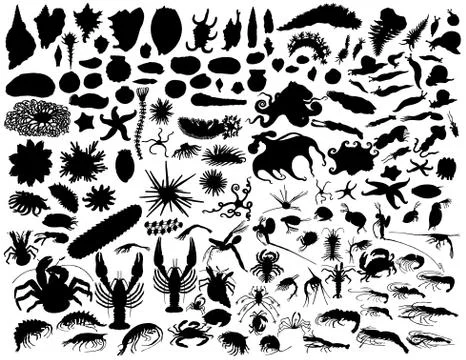 Vector mollusks Stock Illustration