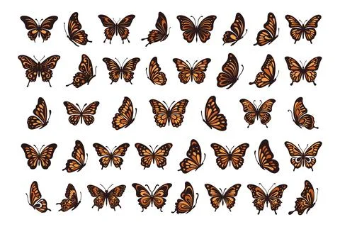 Vector monarch butterfly black and orange silhouette set cutout insect wing wing Stock Illustration