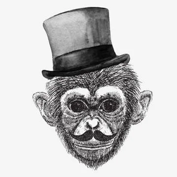 Vector monkey Stock Illustration