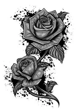 Vector monochromatic image of roses in retro style. Hand-drawn lineart. Vector. Stock-Illustration