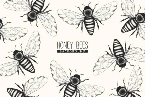 Vector monochrome background with pattern from black and white honey bees  is Illustrazione stock