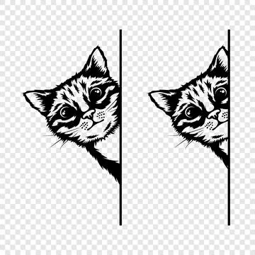 Vector Monochrome Hand Drawm Black, White Hiding Peeking Kitten. Peeking Kitten Stock Illustration