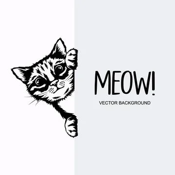 Vector Monochrome Hand Drawn Black, White Hiding Peeking Kitten with Paws Stock Illustration