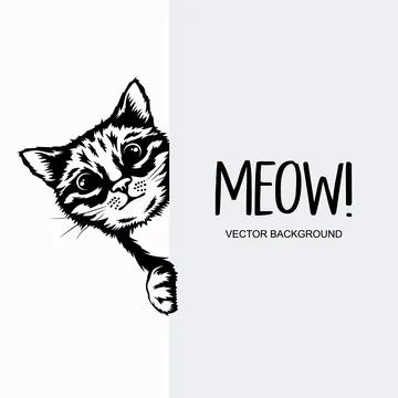 Vector Monochrome Hand Drawn Black, White Hiding Peeking Kitten with Paws Stock Illustration