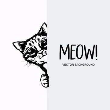 Vector Monochrome Hand Drawn Black, White Hiding Peeking Kitten with Paws Stock Illustration