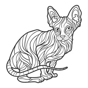 Vector monochrome hand drawn illustration of sphynx cat. Stock Illustration