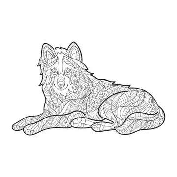 Vector monochrome hand drawn zentagle illustration of wolf. Coloring page wit Stock Illustration