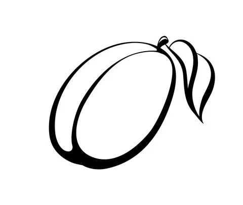 Vector monochrome illustration of plum logo. Stock Illustration