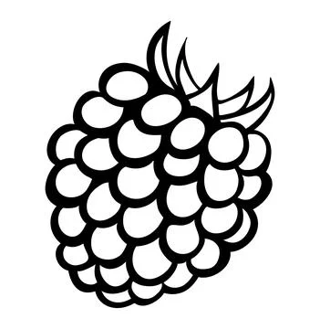 Vector monochrome illustration of raspberry logo. Stock Illustration