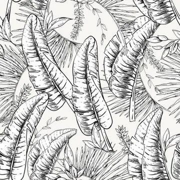 Vector monochrome seamless pattern of tropical leaves, Exotic na Stock Illustration