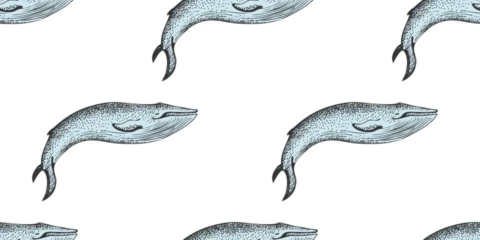 Vector Monochrome Seamless Pattern With Whales In Sketch Style. Stock Illustration