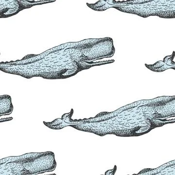 Vector Monochrome Seamless Pattern With Whales In Sketch Style. Stock Illustration