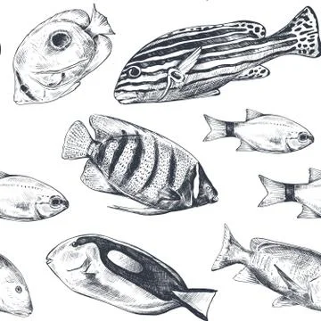 Vector monochrome seamless sea pattern with tropical fish. Underwater world. Stock Illustration