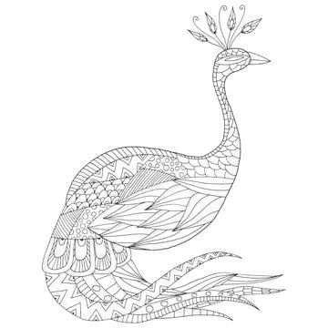 Vector monochrome sketch of peacock in zentangle style Stock Illustration