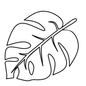 Vector monstera leaf outline. Tropical exotic plants black and white illustratio Illustrazione stock
