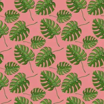 Vector monstera plant seamless pattern on a pink Stock Illustration