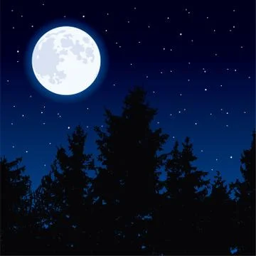 Vector  moon in night sky and forest trees Stock Illustration