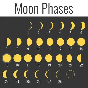 Vector moon phases, flat design Illustrazione stock