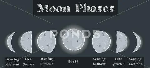 Vector - Moon phases set, calendar symbols, vector illustration ...