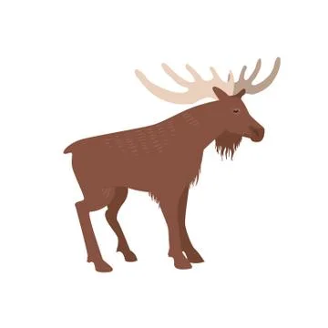 Vector moose isolated Stock Illustration
