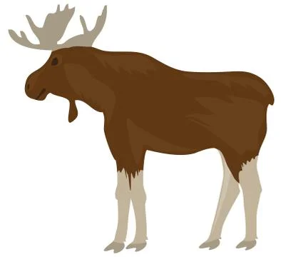 Vector Moose Isolated on White Background. Stock Illustration