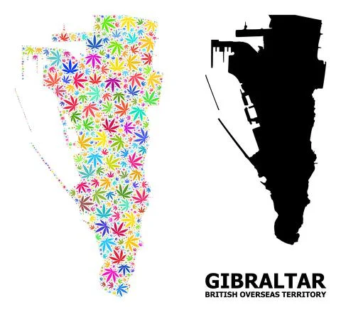 Vector Mosaic Map of Gibraltar of Colored Hemp Leaves and Solid Map Illustrazione stock