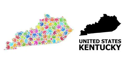 Vector Mosaic Map of Kentucky State of Colorful Marijuana Leaves and Solid Map Stock Illustration