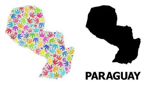 Vector Mosaic Map of Paraguay of Psychedelic Marijuana Leaves and Solid Map 库存插图